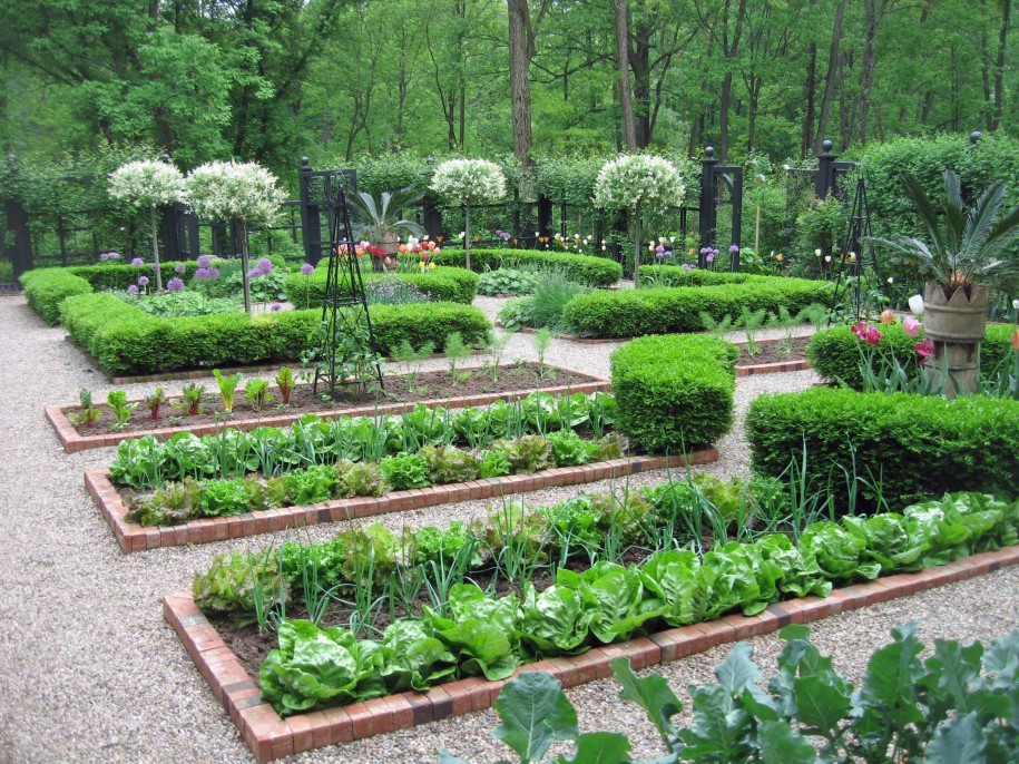 garden layout ideas