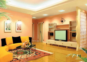 interior color schemes