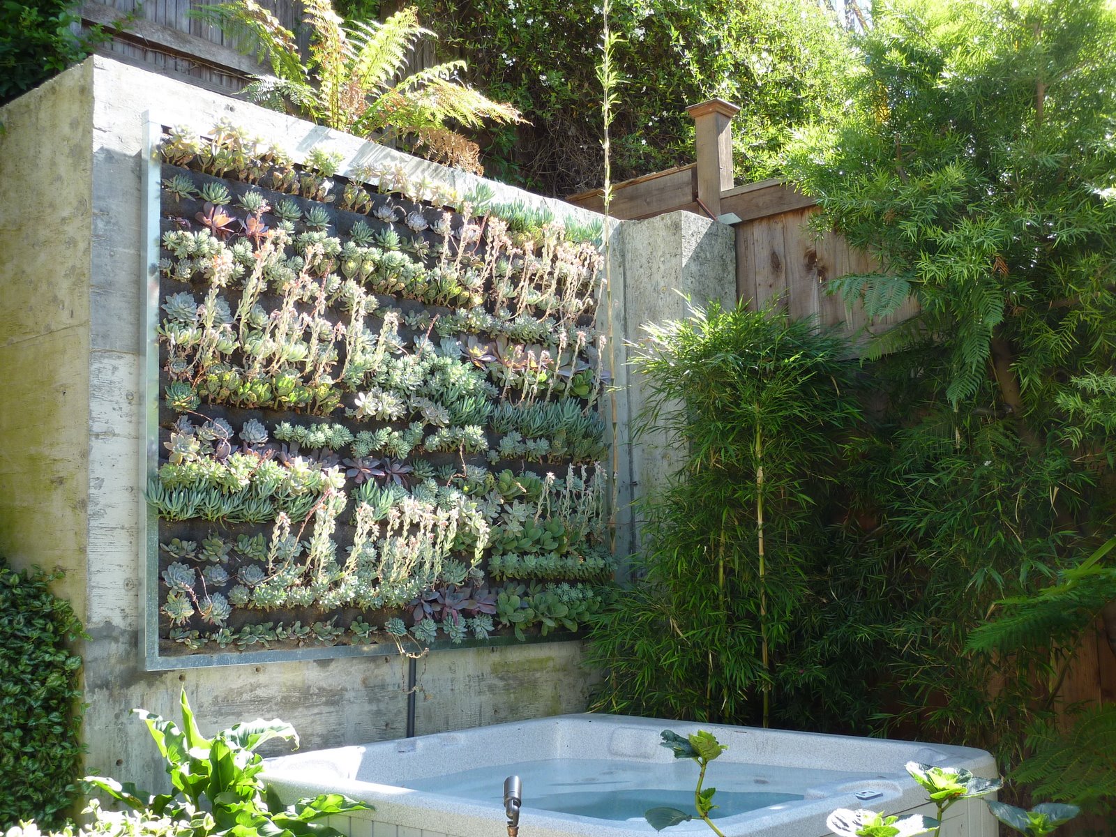 succulent wall garden
